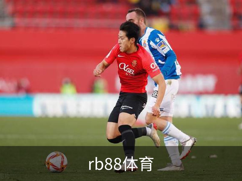 关于rb88体育